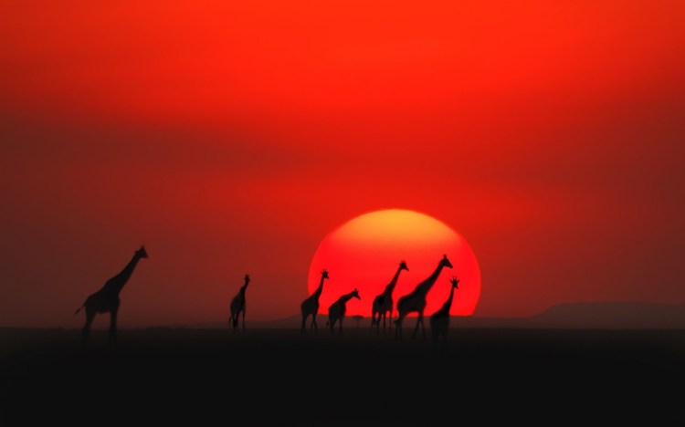 kenya-sunset-1024x640